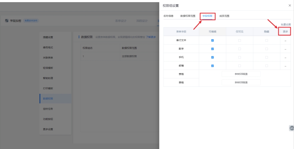 解密权限设置-拓展设置-数据权限组3.png